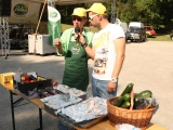 Grilovačka pod Palmou