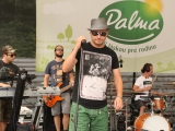 Grilovačka pod Palmou