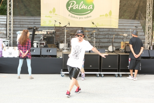 Grilovačka pod Palmou