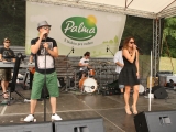 Grilovačka pod Palmou